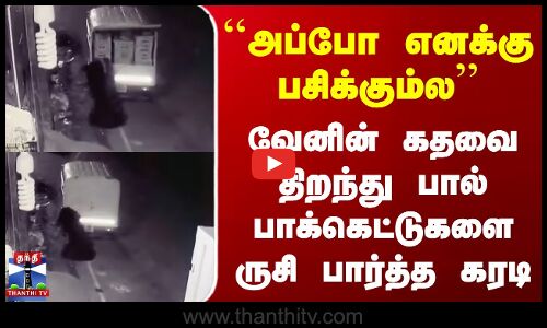 ``அப்போ எனக்கு பசிக்கும்ல.. பால் பாக்கெட்டுகளை ருசி பார்த்த கரடி