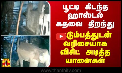 ஹாஸ்டல் கதவை திறந்து குடும்பத்துடன் வரிசையாக விசிட் அடித்த யானைகள்
