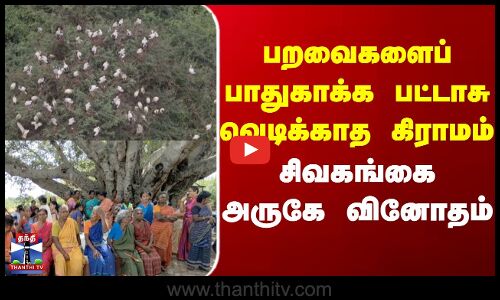 Diwali  |  Sivagangai  | Crackers | பறவைகளைப் பாதுகாக்க பட்டாசு வெடிக்காத கிராமம்