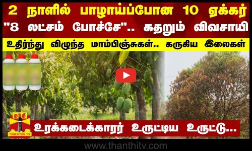 2 நாளில் பாழாய்ப்போன 10 ஏக்கர்-8 லட்சம் போச்சே.. கதறும் விவசாயி | Mangoes | Farming |