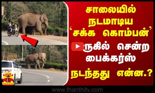 சாலையில் நடமாடிய சக்க கொம்பன்..அருகில் சென்ற பைக்கர்ஸ் - நடந்தது என்ன.?