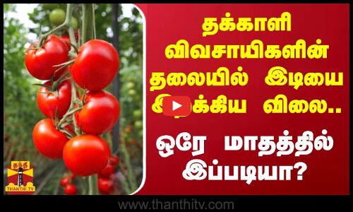 தக்காளி விவசாயிகளின் தலையில் இடியை இறக்கிய விலை.. - ஒரே மாதத்தில்  இப்படியா?