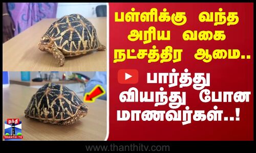 Star Tortoise| பள்ளிக்கு வந்த அரிய வகை நட்சத்திர ஆமை.. பார்த்து வியந்து போன மாணவர்கள்