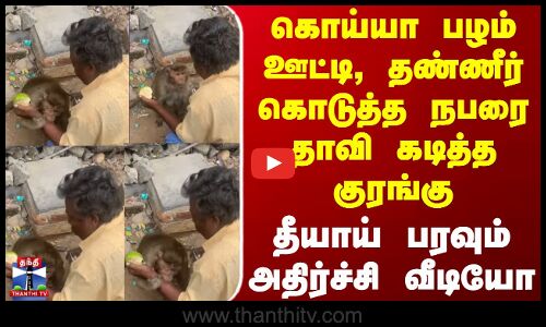 Chennai | Monkey | கொய்யா பழம் ஊட்டி, தண்ணீர் கொடுத்த நபரை தாவி கடித்த குரங்கு - அதிர்ச்சி வீடியோ