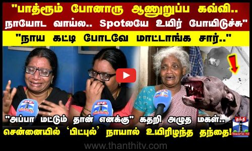 பாத்ரூம் போனாரு ஆணுறுப்ப கவ்வி.. சென்னையில் பிட்புல் நாயால் உயிரிழந்த தந்தை..!