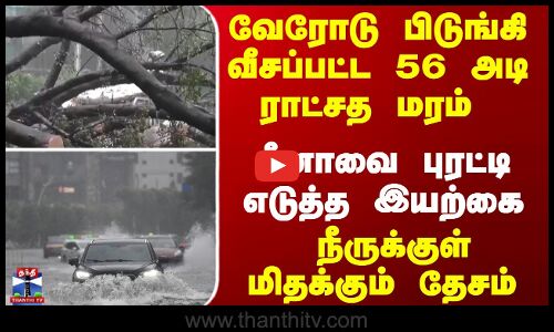 சீனாவை புரட்டி எடுத்த இயற்கை... நீருக்குள் மிதக்கும் தேசம்