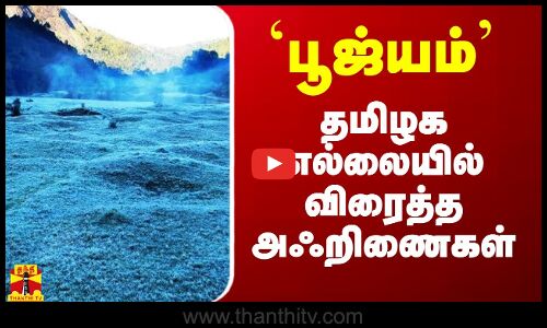 `பூஜ்யம் டிகிரி’ - தமிழக எல்லையில் விரைத்த செடி, கொடிகள்