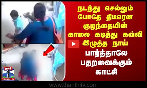 திடீரென குழந்தையின் காலை கவ்வி இழுத்த நாய் - பார்த்தாலே பதறவைக்கும் காட்சி