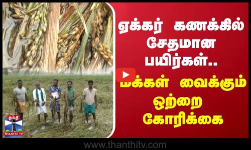 ஏக்கர் கணக்கில் சேதமான பயிர்கள்...மக்கள் வைக்கும் ஒற்றை கோரிக்கை