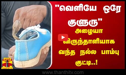 வெளியே ஒரே குளுரு அழையா விருந்தாளியாக வந்த நல்ல பாம்பு குட்டி | Cuddalore
