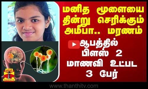 மனித மூளையை தின்று செரிக்கும் அமீபா.. மரணம்.. ஆபத்தில் பிளஸ் 2 மாணவி உட்பட 3 பேர்