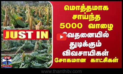 மொத்தமாக சாய்ந்த 5000 வாழை வேதனையில் துடிக்கும் விவசாயிகள் சோகமான காட்சிகள்