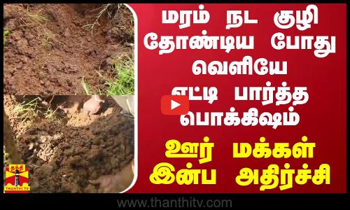 மரம் நட குழி தோண்டிய போது வெளியே எட்டி பார்த்த பொக்கிஷம் - ஊர் மக்கள் இன்ப அதிர்ச்சி