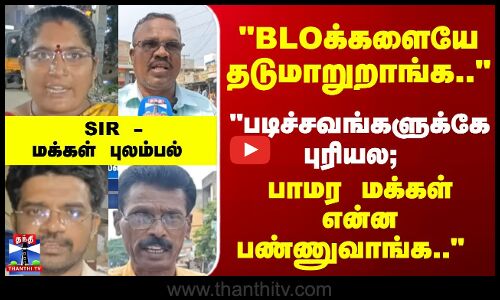 Street Interview | BLOக்களையே தடுமாறுறாங்க.. பாமர மக்கள் என்ன பண்ணுவாங்க.. SIR - மக்கள் புலம்பல்