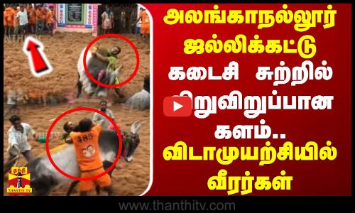 அலங்காநல்லூர் ஜல்லிக்கட்டு.. கடைசி சுற்றில் விறுவிறுப்பான களம்.. விடாமுயற்சியில் வீரர்கள்