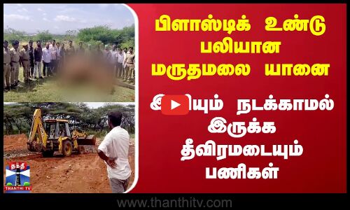 பிளாஸ்டிக் உண்டு பலியான மருதமலை யானை - இனியும் நடக்காமல் இருக்க தீவிரமடையும் பணிகள்