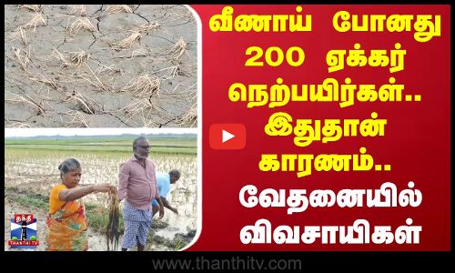 Shrimp farm waste | வீணாய் போனது 200 ஏக்கர் நெற்பயிர்கள்.. இதுதான் காரணம்.. வேதனையில் விவசாயிகள்