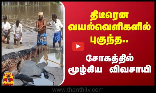 திடீரென வயல்வெளிகளில் புகுந்த.. சோகத்தில் மூழ்கிய விவசாயி
