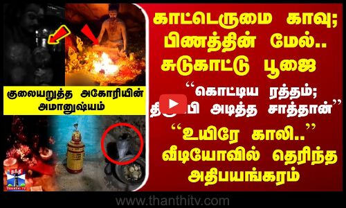 காட்டெருமை காவு; பிணத்தின் மேல்.. சுடுகாட்டு பூஜை... ``கொட்டிய ரத்தம்; திருப்பி அடித்த சாத்தான் - குலையறுத்த அகோரியின் அமானுஷ்யம்