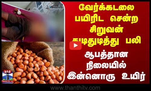 வேர்க்கடலை பயிரிட சென்ற சிறுவன் துடிதுடித்து பலி - ஆபத்தான நிலையில் இன்னொரு உயிர்