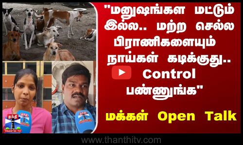 Street Dogs | Street Interview | மனுஷங்கள மட்டும் இல்ல - மற்ற செல்ல பிராணிகளையும் நாய்கள் கடிக்குது