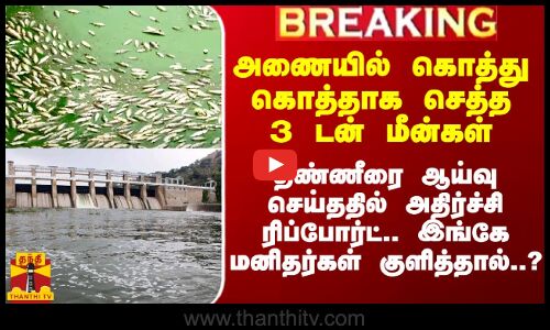 KRP அணையில் கொத்து கொத்தாக செத்து மிதந்த மீன்கள்.. தண்ணீரை ஆய்வுசெய்ததில் அதிர்ச்சி ரிப்போர்ட்