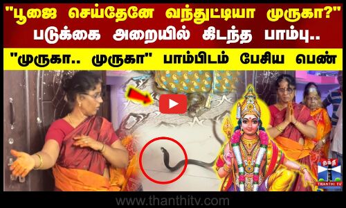 பூஜை செய்தேனே வந்துட்டியா முருகா..? படுக்கை அறையில் கிடந்த பாம்பு..முருக.. முருக என உருகிய பெண்