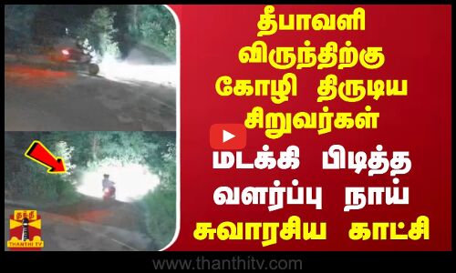 தீபாவளி விருந்திற்கு கோழி திருடிய சிறுவர்கள்..மடக்கி பிடித்த வளர்ப்பு நாய் - வெளியான ஸ்வாரசிய காட்சி