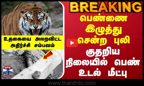 Breaking || ooty || பெண்ணை இழுத்து சென்ற புலி  குதறிய நிலையில் பெண் உடல் மீட்பு