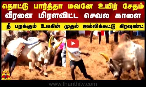 தொட்டு பார்த்தா உயிர் சேதம்.. வீரனை மிரளவிட்ட செவல காளை.. தீ பறக்கும்  முதல் ஜல்லிக்கட்டு கிரவுண்ட்