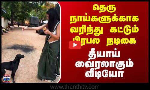 தெருநாய்களுக்காக வரிந்து கட்டும் பிரபல நடிகை - தீயாய் வைரலாகும் வீடியோ