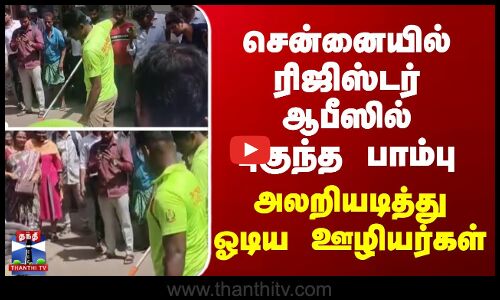 சென்னையில் ரிஜிஸ்டர் ஆபீஸில் புகுந்த பாம்பு - அலறியடித்து ஓடிய ஊழியர்கள்