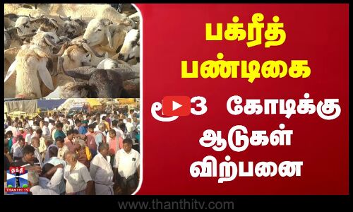 பக்ரீத் பண்டிகை - ரூ.3 கோடிக்கு ஆடுகள் விற்பனை