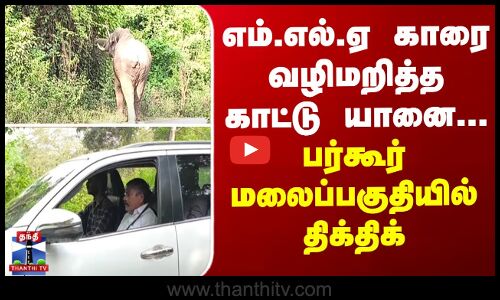 Bargur | எம்.எல்.ஏ காரை வழிமறித்த காட்டு யானை... பர்கூர் மலைப்பகுதியில் திக்திக்