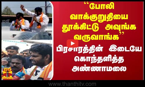 ``போலி வாக்குறுதியை தூக்கிட்டு அவுங்க வருவாங்க...பிரசாரத்தின் இடையே கொந்தளித்த அண்ணாமலை